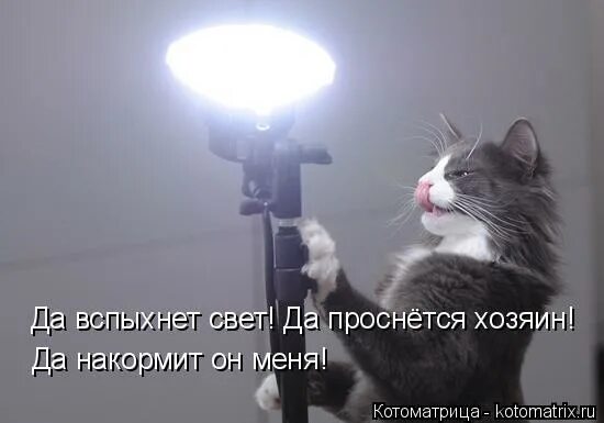 будильник текст. музыка на будильник просыпайся мой хозяин. высоцкий утренняя гимнастика слова. музыка на будильник просыпайся мой хозяин. треки для будильника.