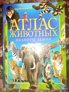 Атлас животных