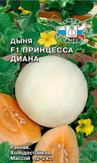 Дыня принцесса