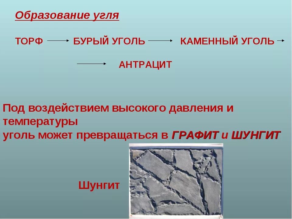 Образование каменного угля. Как образовался каменный уголь. Схема образования угля. Возникновение каменного угля. Появление каменного угля