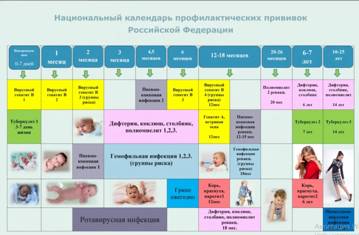 Ведение ребенка до года. Национальный календарь прививок 2020 Россия. Национальный календарь прививок 2020 Россия таблица для детей. Вакцинопрофилактика национальный календарь прививок. Календарь прививок для детей в России 2021 национальный календарь.