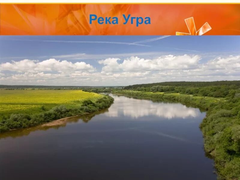 Река угра калужская область. Река угра кратко. Река угра темкинский район. Угра река парк. Доклад о парке угра.