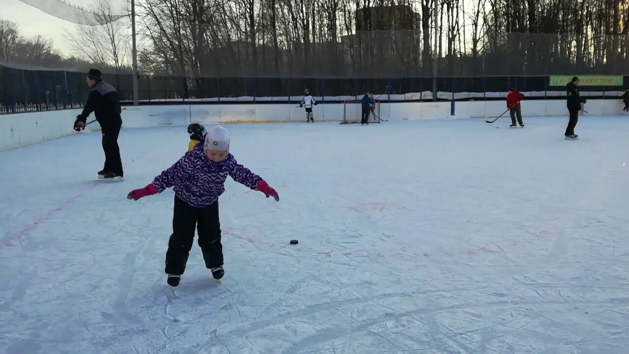 Каток куркино