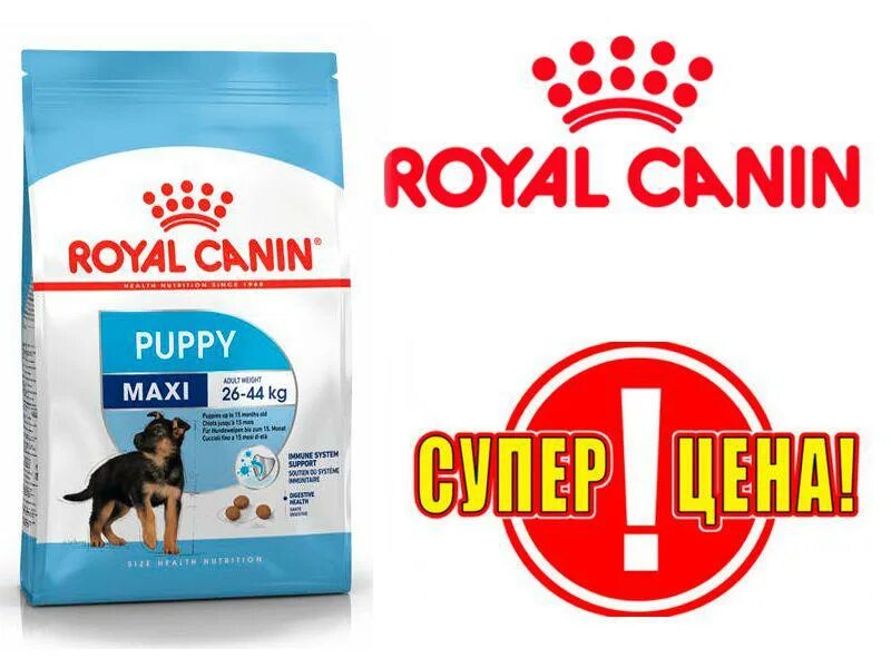 Maxi junior. Royal Canin Maxi Puppy - 15 кг. Royal Canin giant Puppy 15 кг. Royal Canin / Роял Канин giant Puppy (Джаинт Паппи) 17 кг. Royal Canin макси Паппи 15кг.