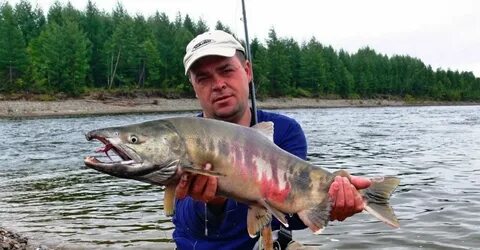 Рыбалка на реке луге