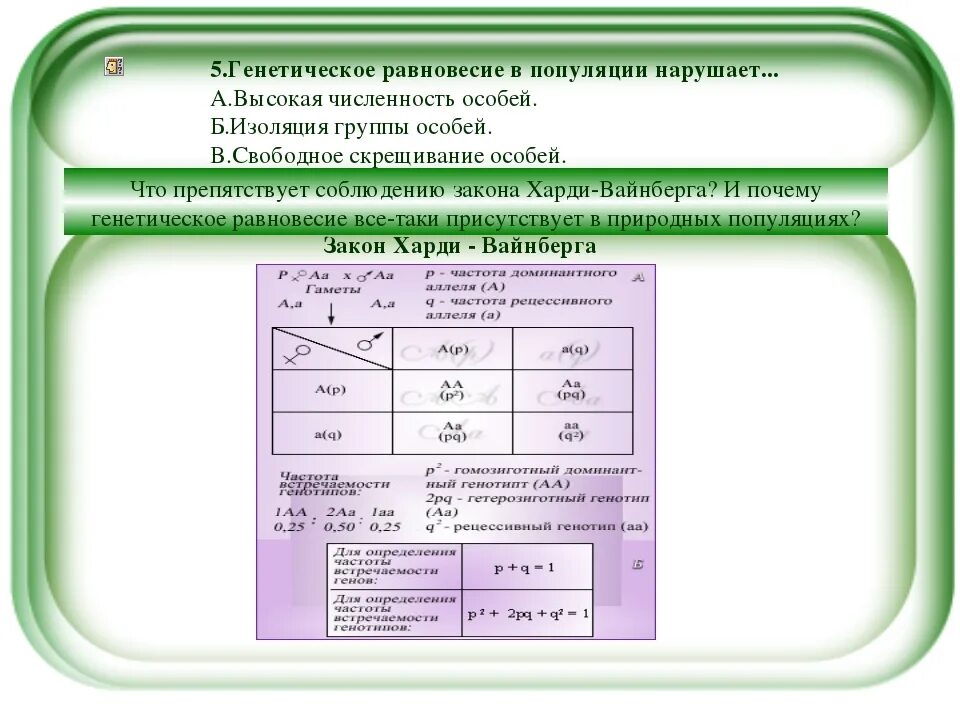 Генетическое равновесие популяции это. Закон генетического равновесия популяций. Равновесная популяция это. Равновесная частота популяции.