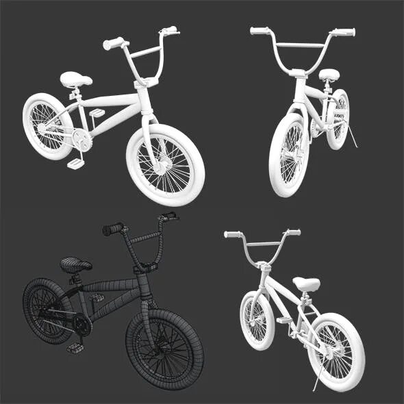 Bicycle model