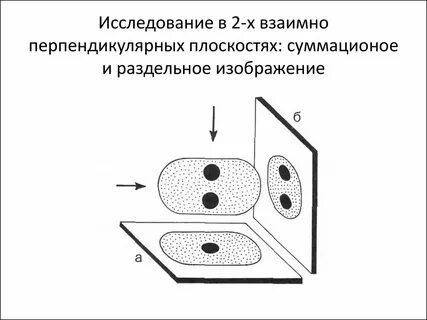 Исследуйте взаимное