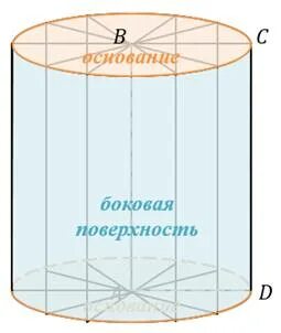 Основания цилиндра это лежащие в