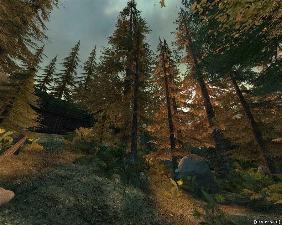 Source forest. Sfm лес. forest для гаррис мода. гмод карта лес. лес контр.