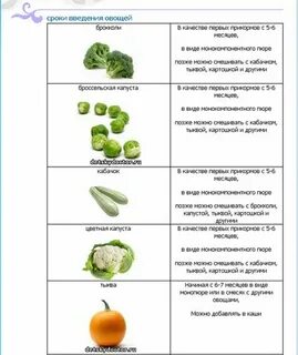 Какие овощные пюре для первого прикорма