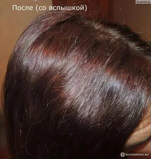 Хна басма цвет