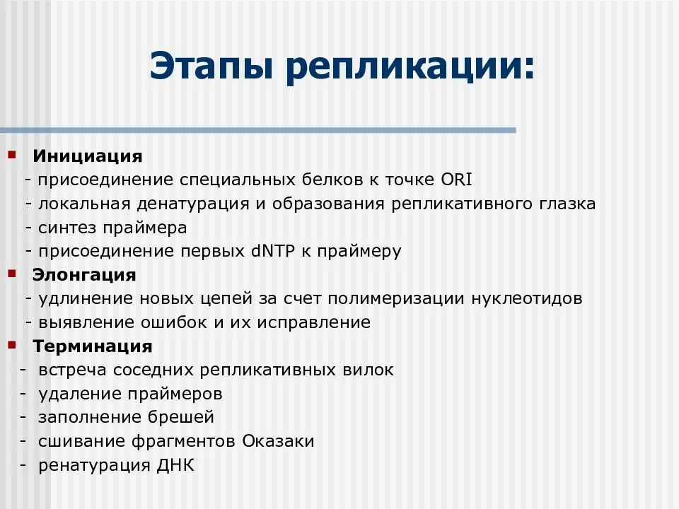 Признаки описания днк. Этапы процесса репликации. этапы процесса репликации днк. основные этапы репликации днк. основные этапы процесса репликации днк.