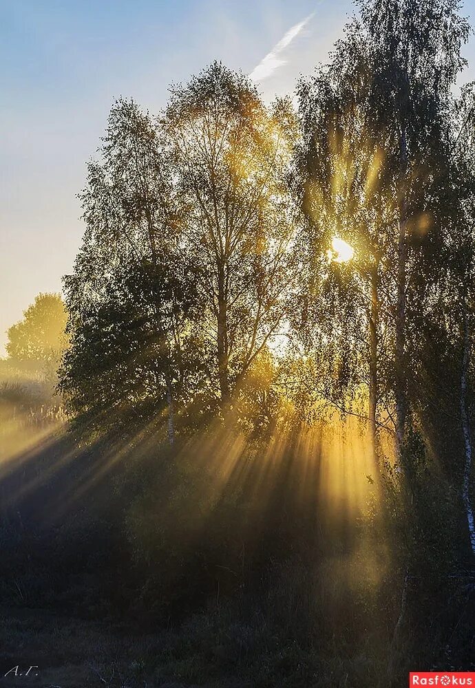 Трепетный свет. Душевные встречи. Счастье. Трепетный свет. Трепетный свет.