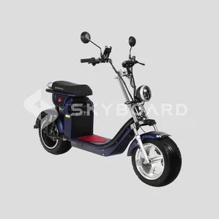 Skyboard altai