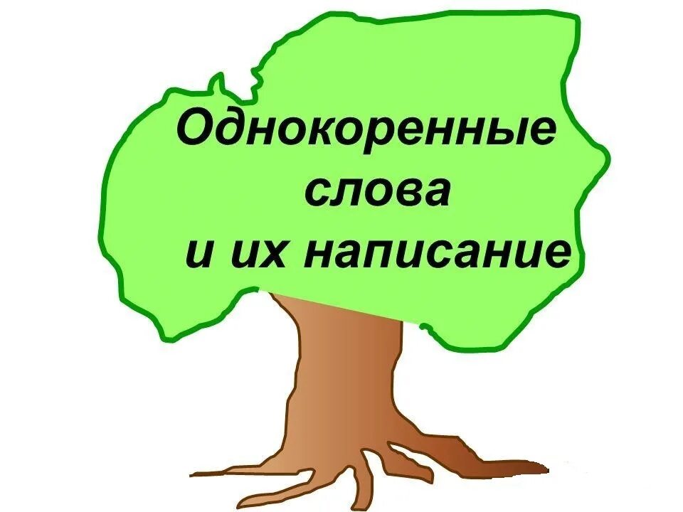 Собака однокоренные слова. Учитель однокоренные слова. Однокоренные слова к слову учитель. Признаки однокоренных слов 2 класс. Однокоренные слова уч.