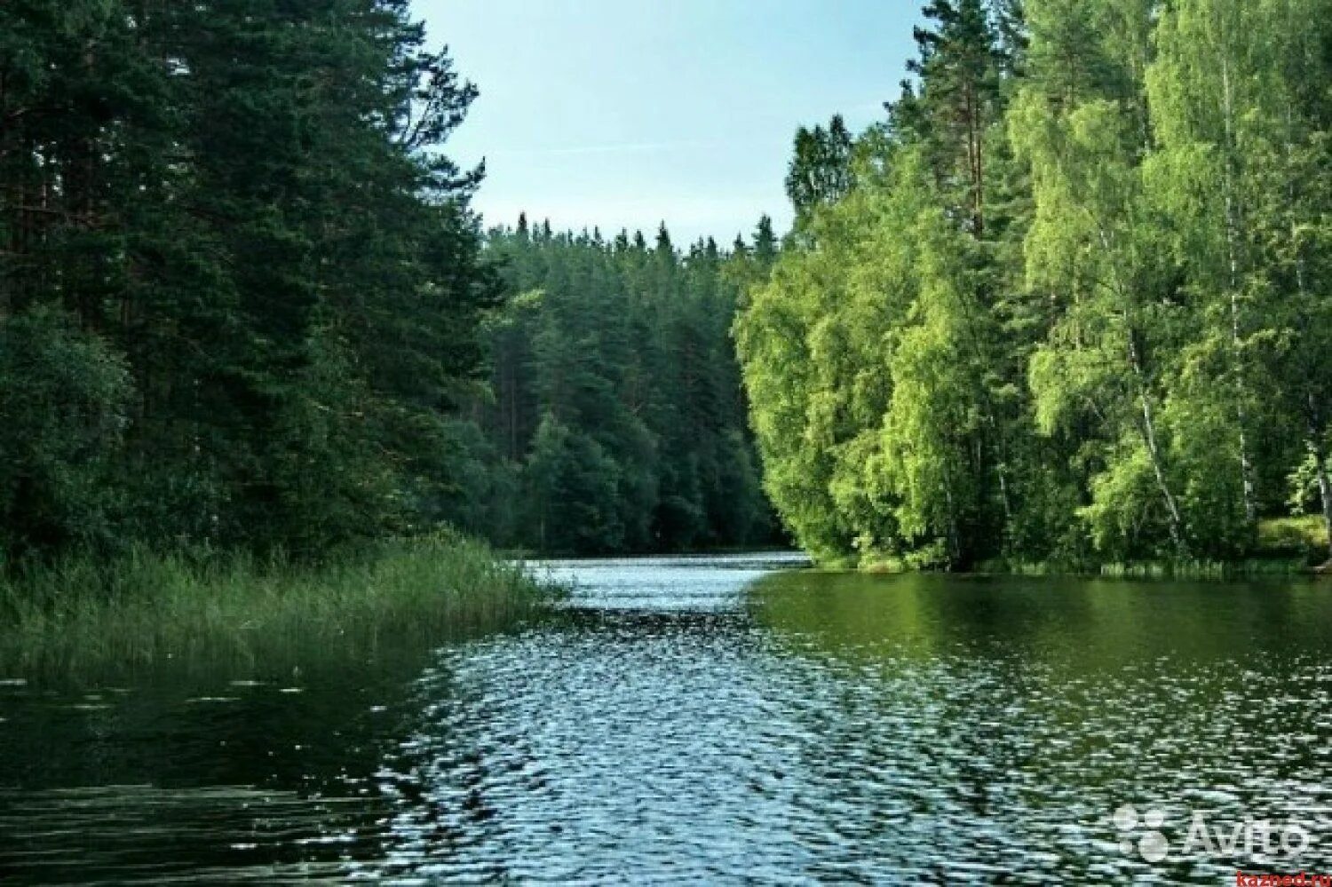 Озеро Ахманка Тюмень. Смешанные и широколиственные леса внутренние воды в России. Смешанные и широколиственные леса реки и озера. Реки и озера России в смешанных и широколиственных лесах.