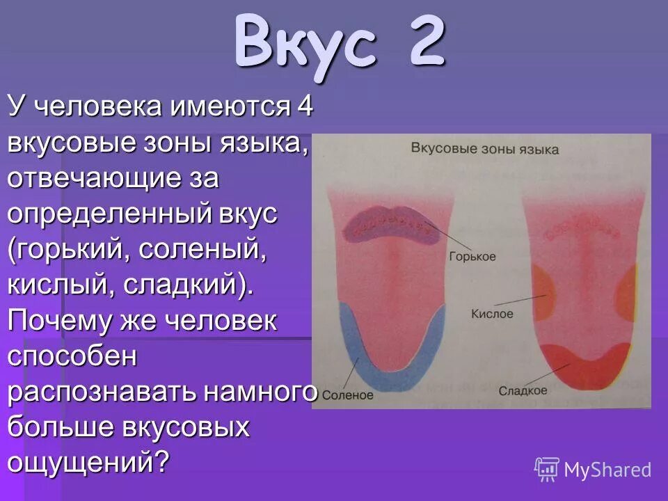 Соленый вкус во рту причины