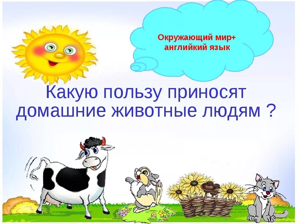 Время с пользой про животных. Какую пользу приносят домашние животные человеку. польза домашних животных для человека. «все домашние животные приносят человеку пользу.. картинка какую пользу приносят домашние животные.