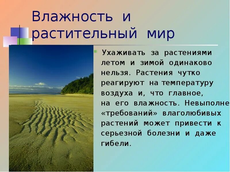 Мир влажности. Влияние влажности на растения. Влияние влажности воздуха на растения. Презентация на тему влажность. Роль влажности воздуха в жизни человека.