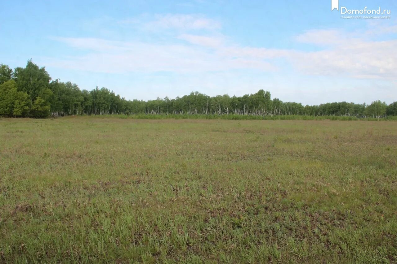Купить землю ленинский. Сколько стоит 7 гектаров земли в Омской области.