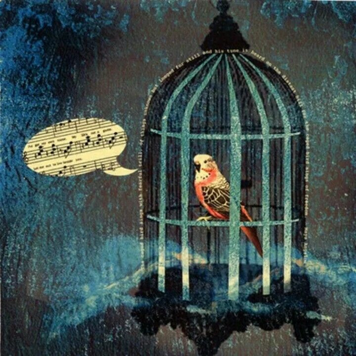 Keep me from the cages. The Bird in the Cage ответы. Cage Painting. Nancy - the Cages.