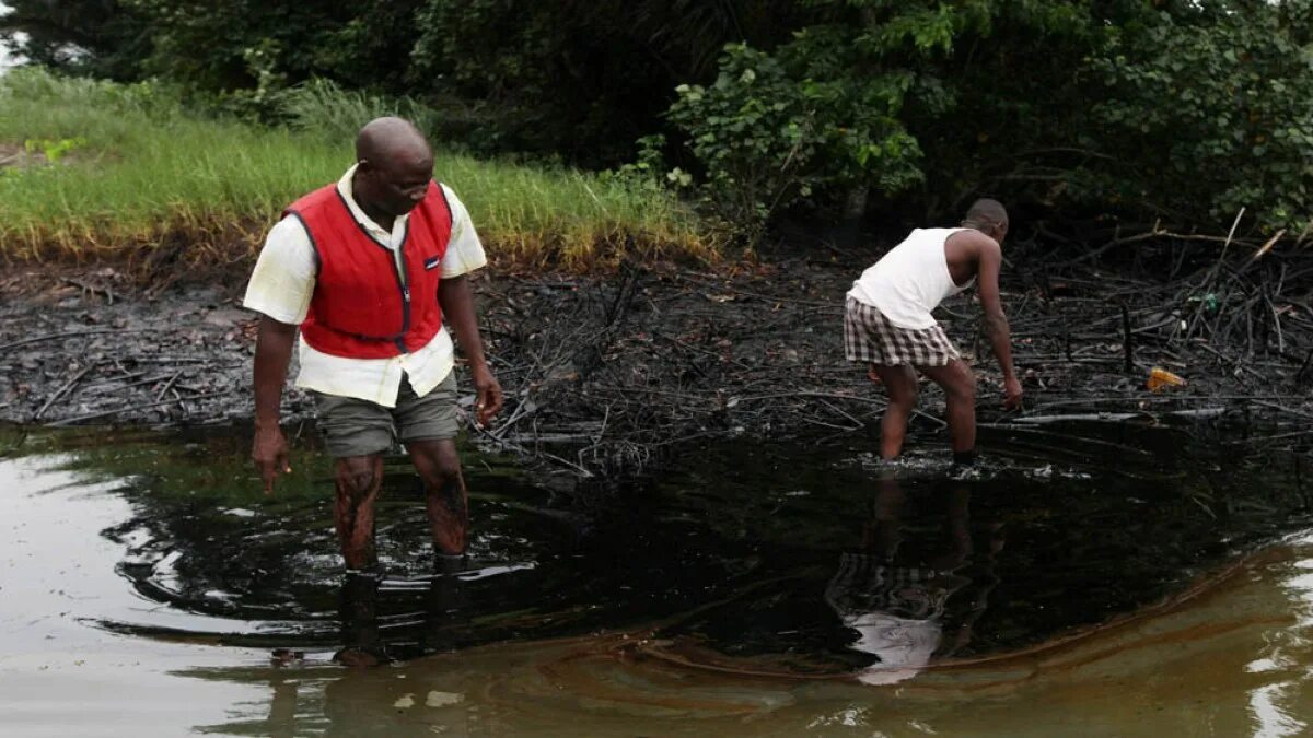 Нпз нигерии. Nigeria lng. Завод нефти в нигерии. Nigeria oil. Nigeria oil.