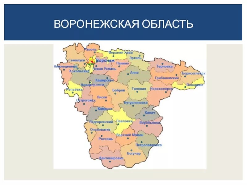 Города которые находятся в воронежской области. Карта Воронежской области. Карта муниципальных районов Воронежской области. Карта схема Воронежской области. Административное деление Воронежской области на районы.