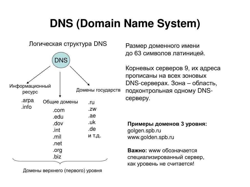 Домен расписание. DNS доменная система. DNS Доменные имена. ДНС доменная система имен. DNS структура доменных имен.