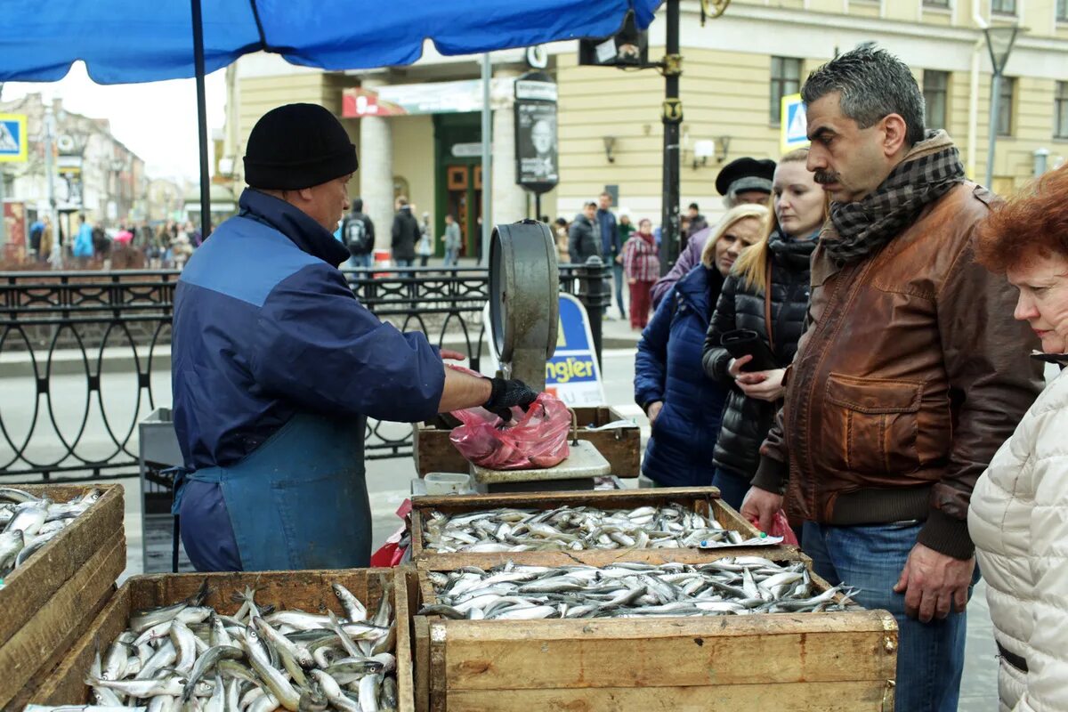 Где поесть корюшку в санкт петербурге недорого. Корюшка Санкт-Петербург. Корюшки в Неве Санкт-Петербурге. Корюшка в Петербурге. Петербургская корюшка.