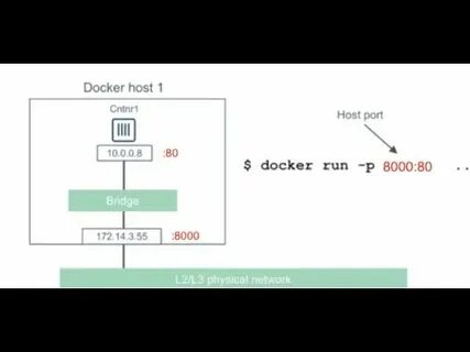 Docker volumes directory
