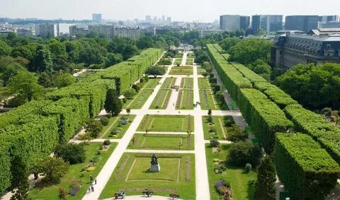 Des plantes