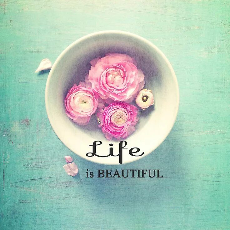 Live is a beautiful. Life is beautiful. life is beautiful картинки. stay beautiful. тетрадь life is beautiful.