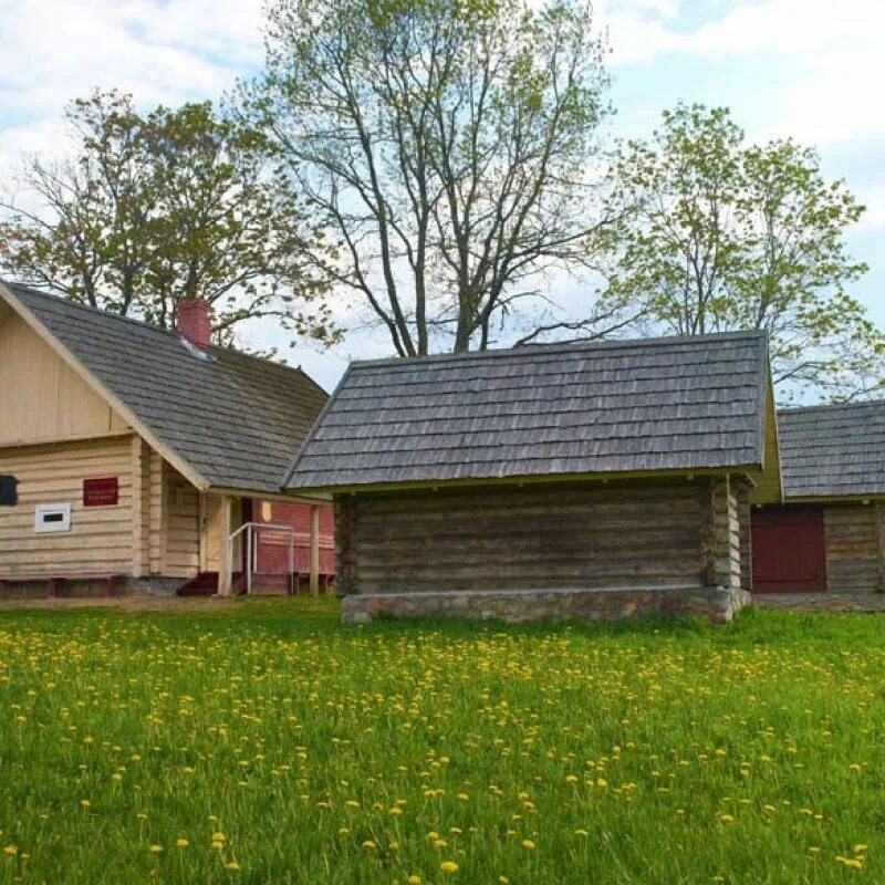 Деревня бычки. Деревня бычки ушачского района. Деревня бычки ушачского района витебской области. Деревня бычки. Парк на угре калужская область.