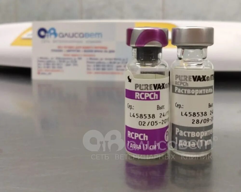 Вакцина пуревакс цена
