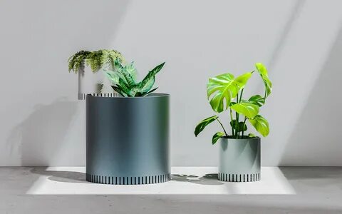 Plant 2020