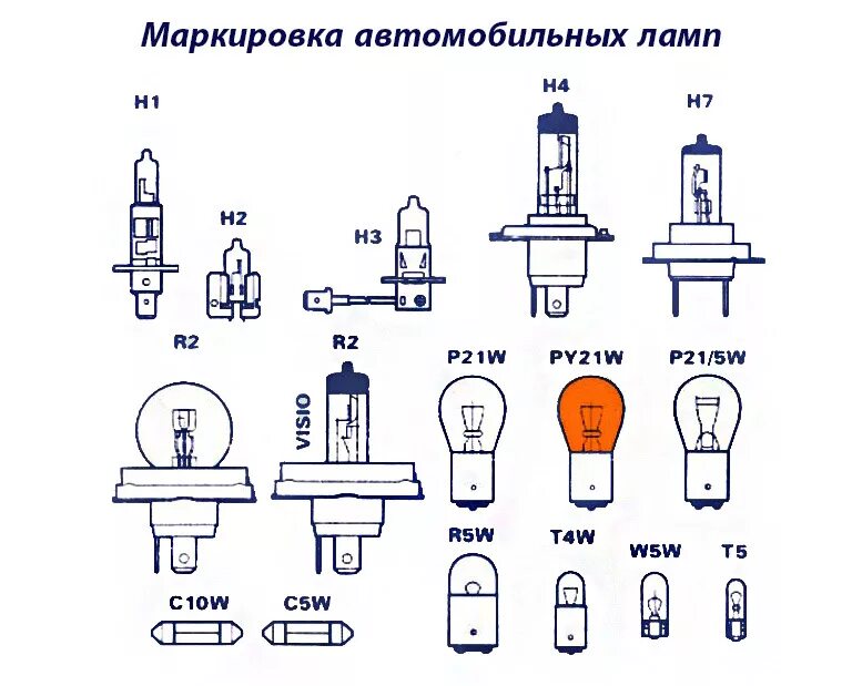 Как отличить лампы. Типы цоколей галогенных ламп 12 вольт. Типы цоколей ламп 12 вольт. Типы цоколей лампочек накаливания 12 вольт. Типы цоколей автомобильных галогенных ламп 12 вольт.