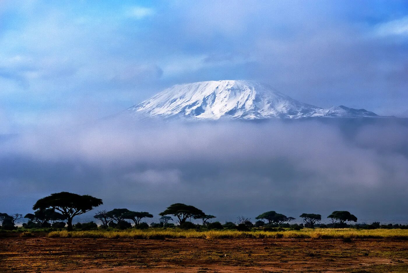 Килиманджаро хемингуэя. Гора в Кении Килиманджаро. Национальный парк Килиманджаро в Африке. Национальный парк Килиманджаро в Танзании. Национальный парк горы Килиманджаро в Танзании.