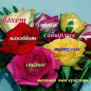 Беренче май бэйрэме белэн котлаулар открытки