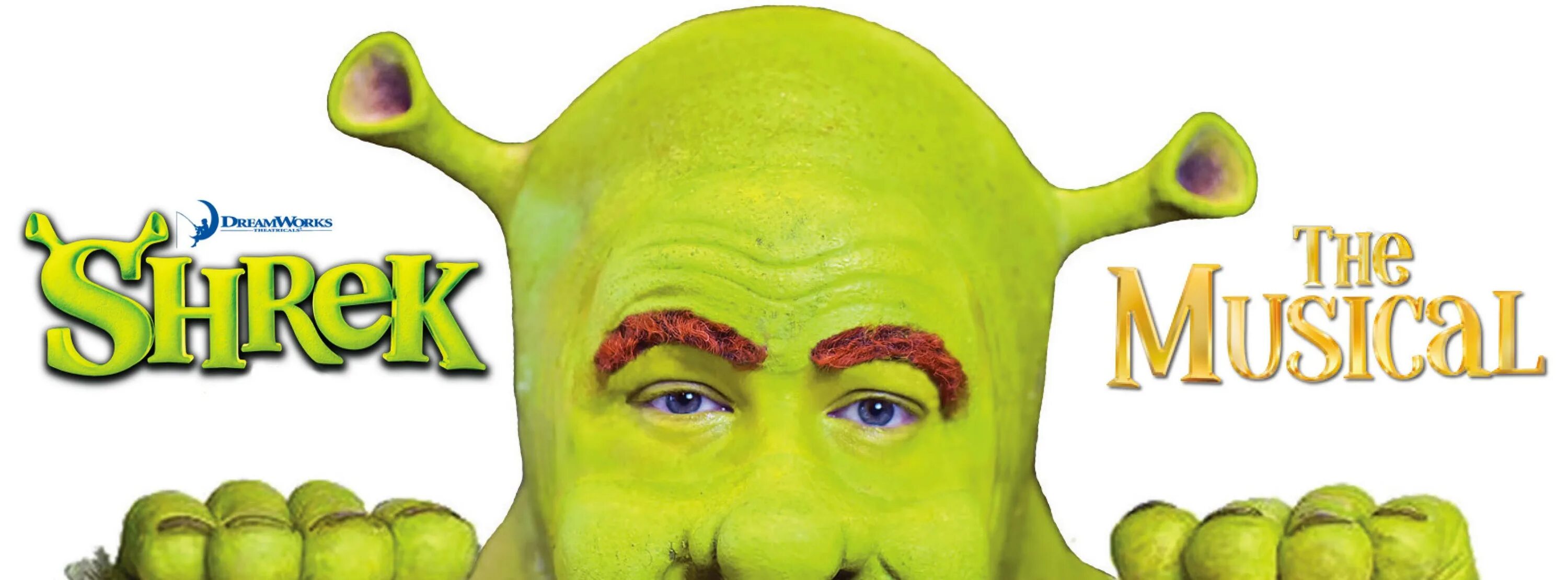 Шрек звезда жюри. Шрек 2 мюзикл. Shrek the musical princess fiona. Шрек в костюме театр. Фиона юбка мюзикл.