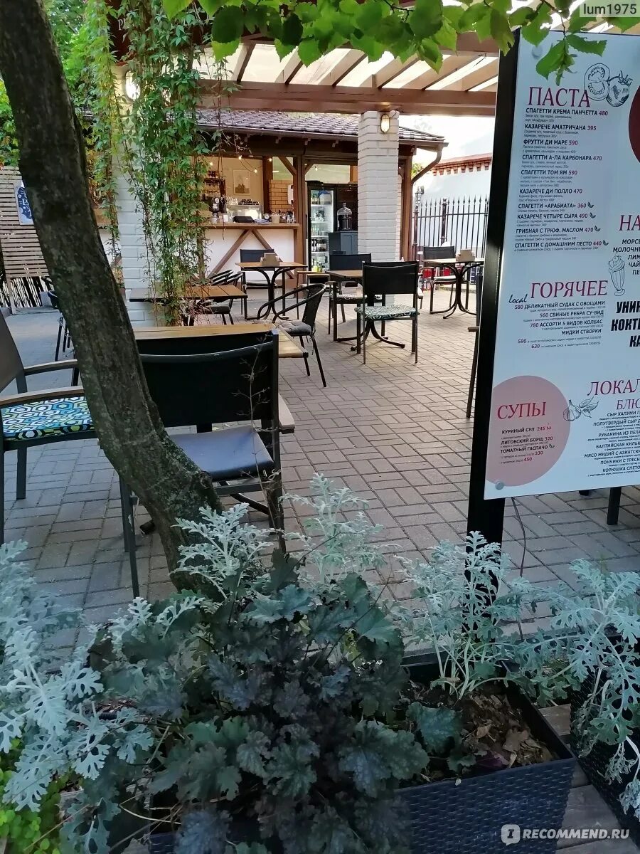 Светлогорск где поесть. Где позавтракать в светлогорске. Local baltic светлогорск. Где позавтракать в светлогорске. Где позавтракать в светлогорске.