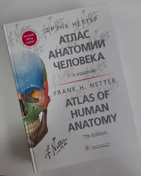 Атлас неттера 7 издание. Атлас фрэнка неттера 7 издание. фрэнк неттер атлас анатомии. фрэнк неттер атлас анатомии человека 6 издание. атлас по анатомии фрэнка неттера 7 издание.