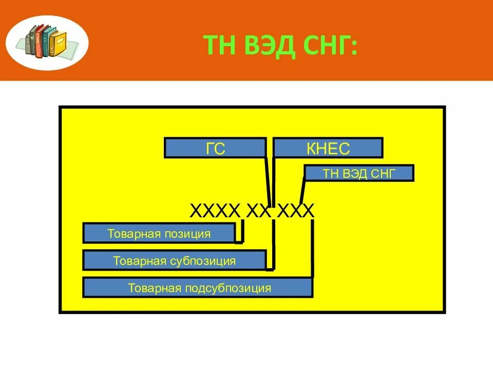 Тн ВЭД СНГ. Товарная номенклатура СНГ. Товарная позиция субпозиция подсубпозиция. Структура кода тн ВЭД СНГ. Код вэд ноутбук