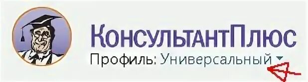 Консультант плюс 2025