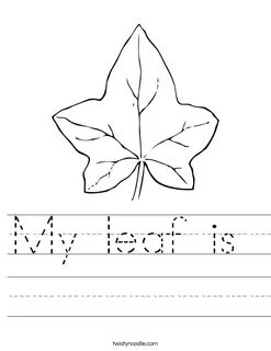 Leaves worksheets