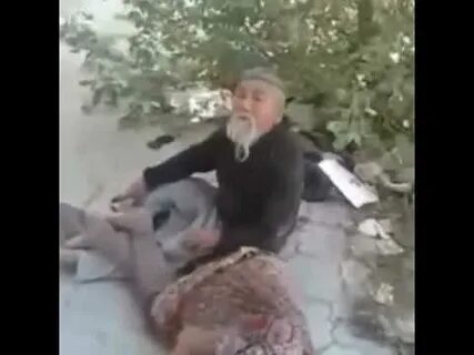 Узбек кутига сикиш