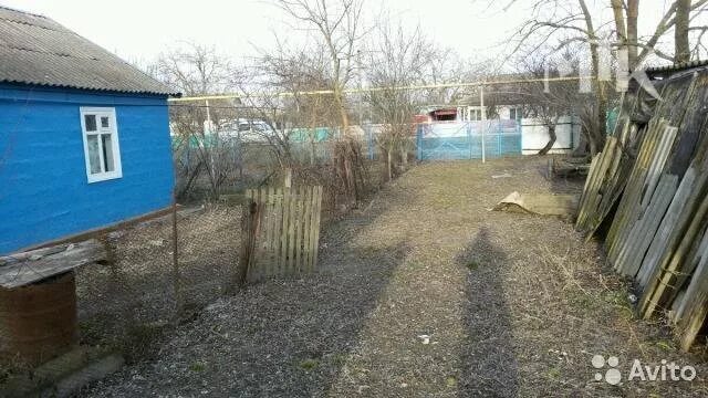 Краснодарский край хутор протоцкий погода