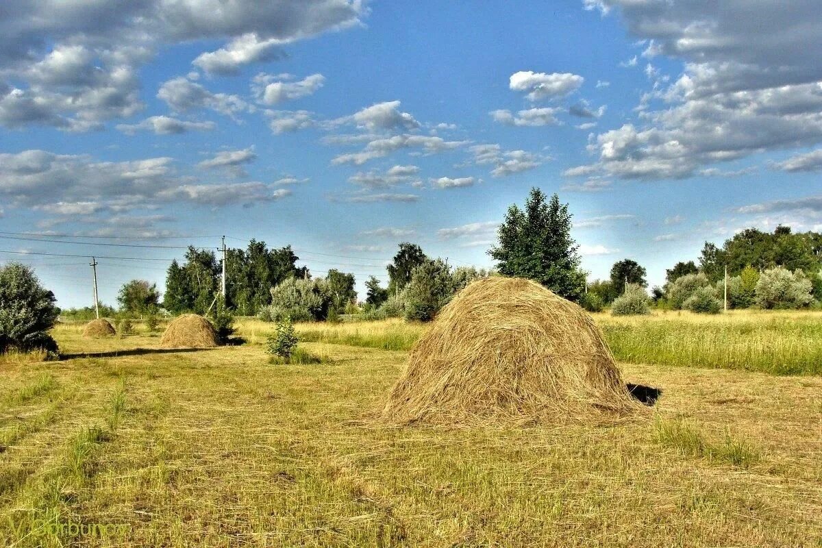 Сено в деревне фото