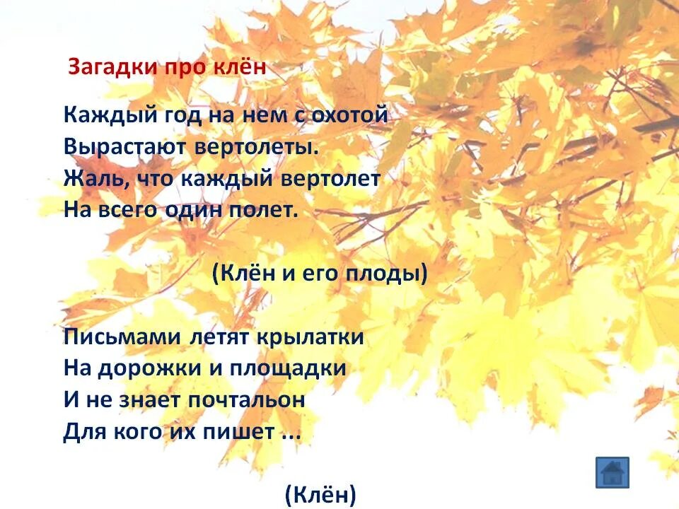Составьте предложения у вдоль в клены