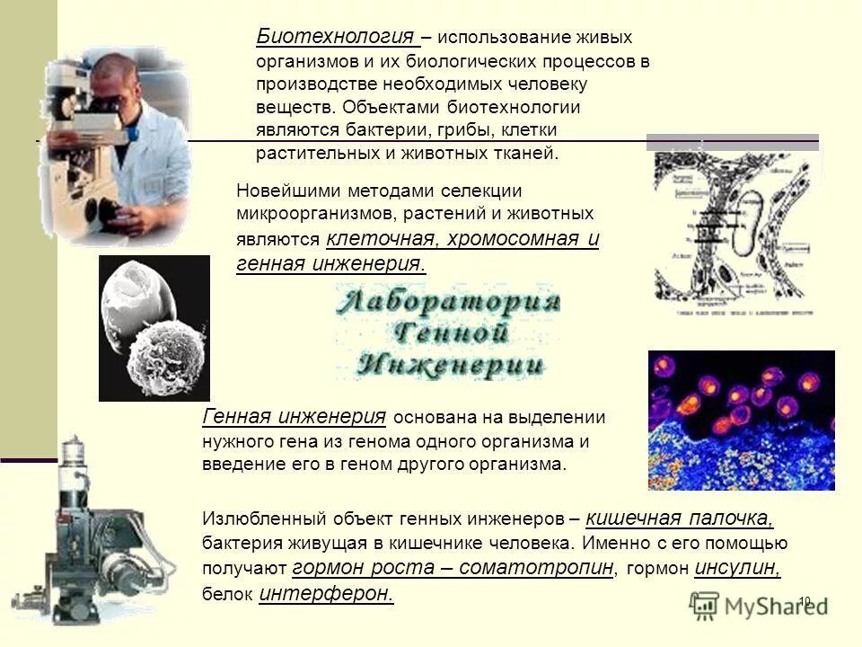 Что является биологическим процессом. Методы селекции микроорганизмов биотехнология. Объекты биотехнологии. Селекция микроорганизмов и биотехнология презентация. Селекция микроорганизмов биотехнология.
